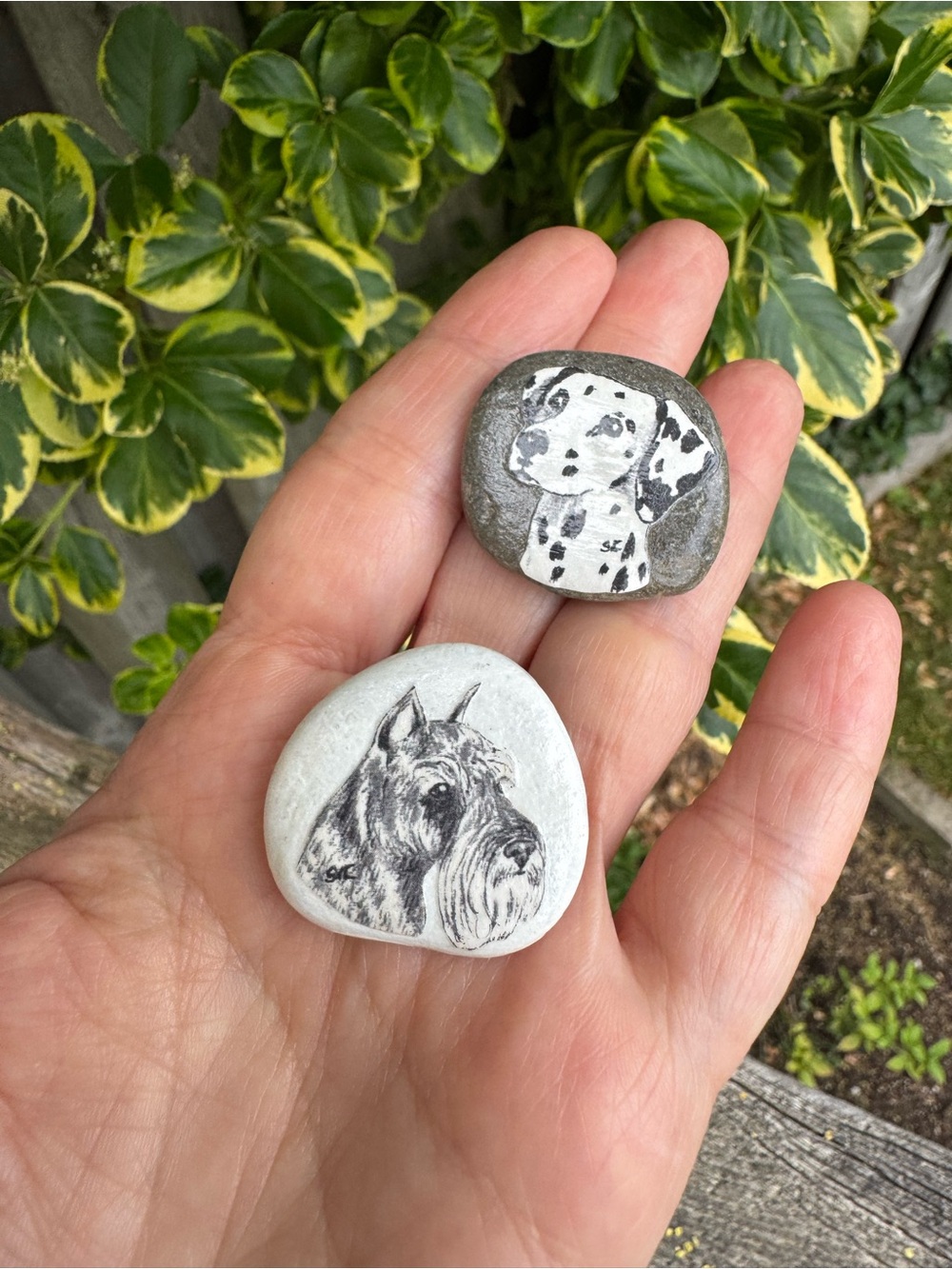 Black & White Painted Schnauzer Dalmatian  Dogs Stone Brooches Signed by Artist